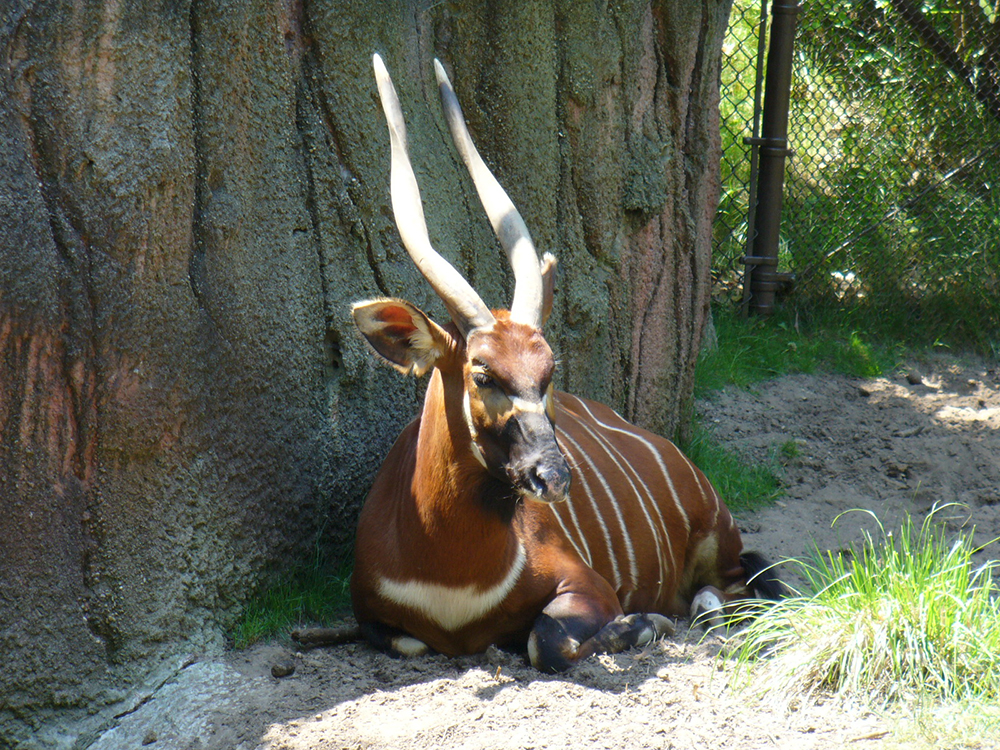 John Ball Zoo Michigan
