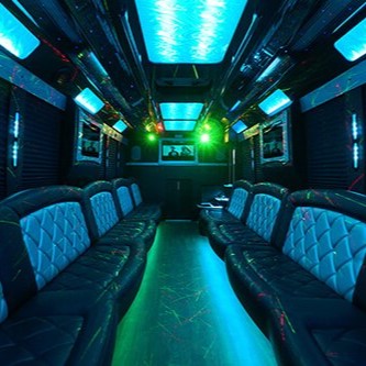 Luxury transportation Webberville Michigan